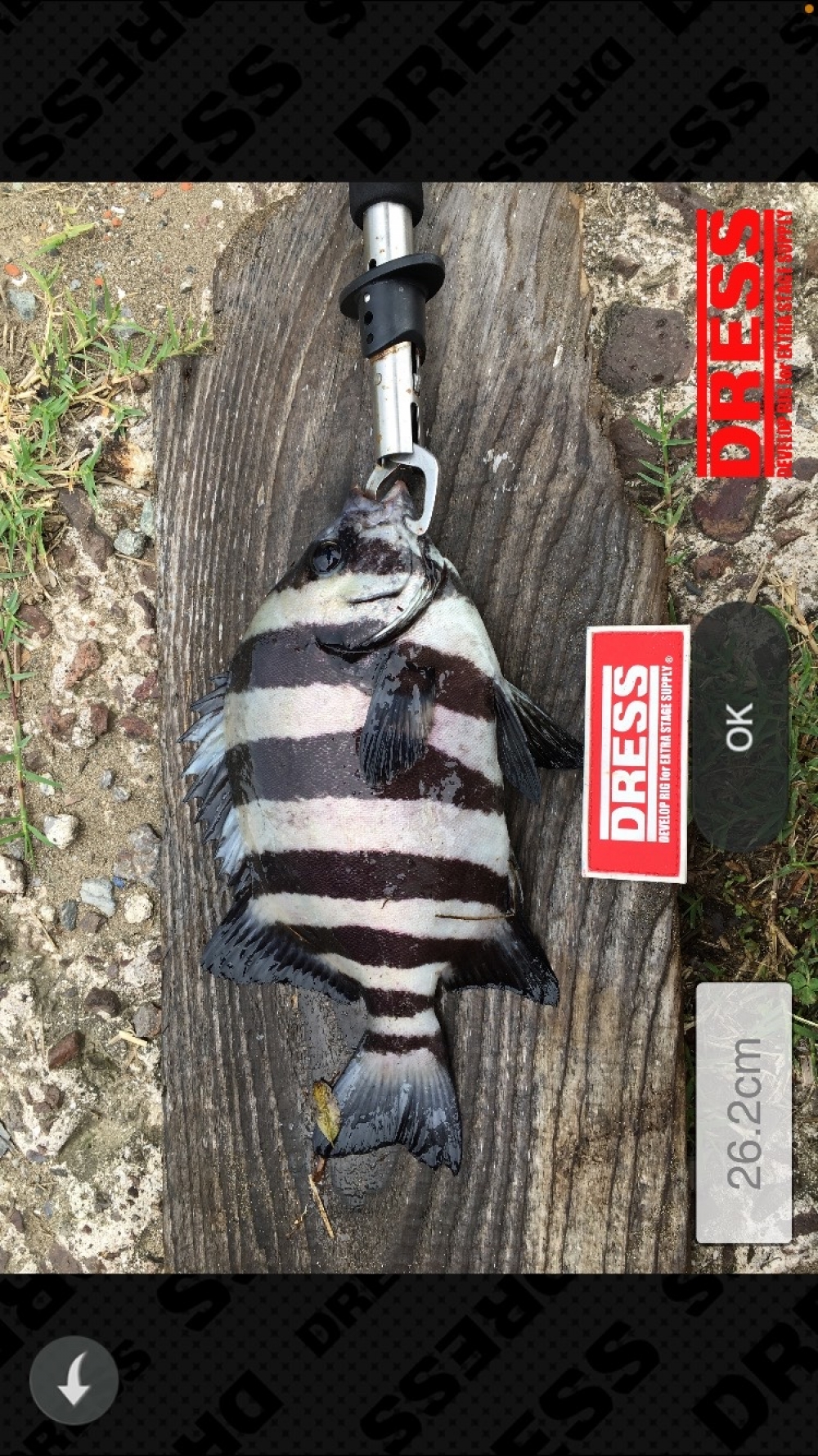 7303_0_94995189dfb32cafb636c4a475d501dc