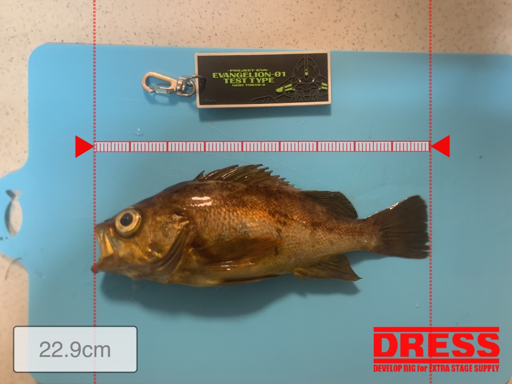 7303_0_b017ef62e9533f9e867bc0858dcf1dfc