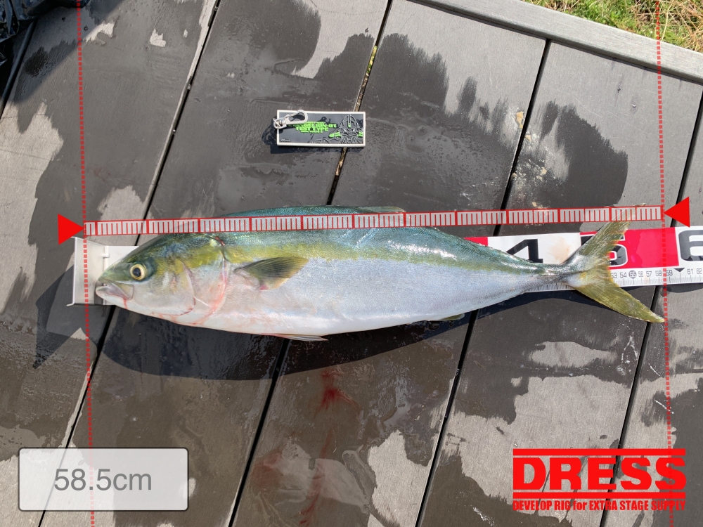 7303_0_f081b3fc151f1f2efba1003eaafce13f