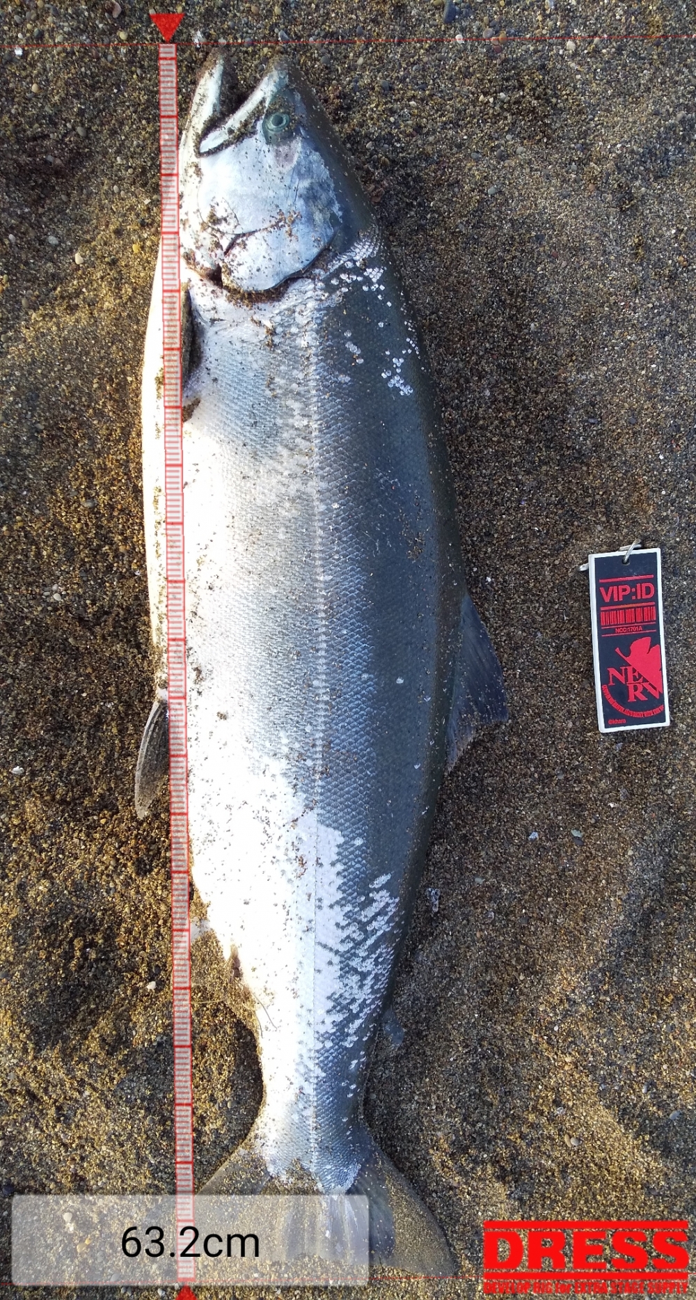 7327_0_6b6958cb83bcd85de05015a5a7fc80a8