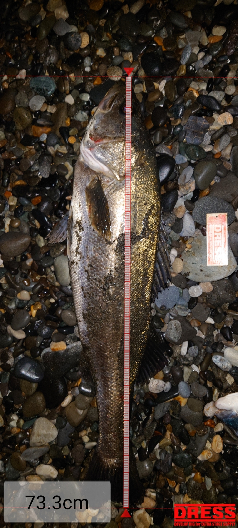 7453_0_1c5d19fe1224e6df67ddb985b5db5dad