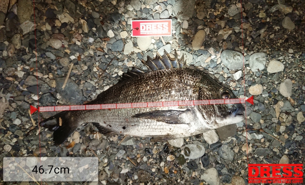 7453_0_58b3418220d207e97a4004b0faa4b004