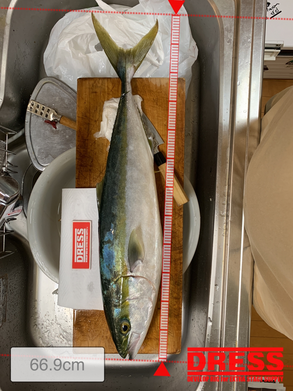 7466_0_c1b018487f6c904642aa0f86808efdd2