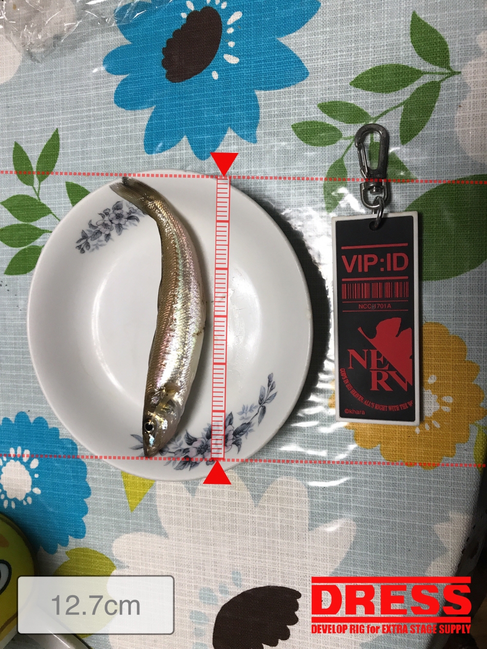 7476_0_809906ec4694a33d5b598546cc7a5154