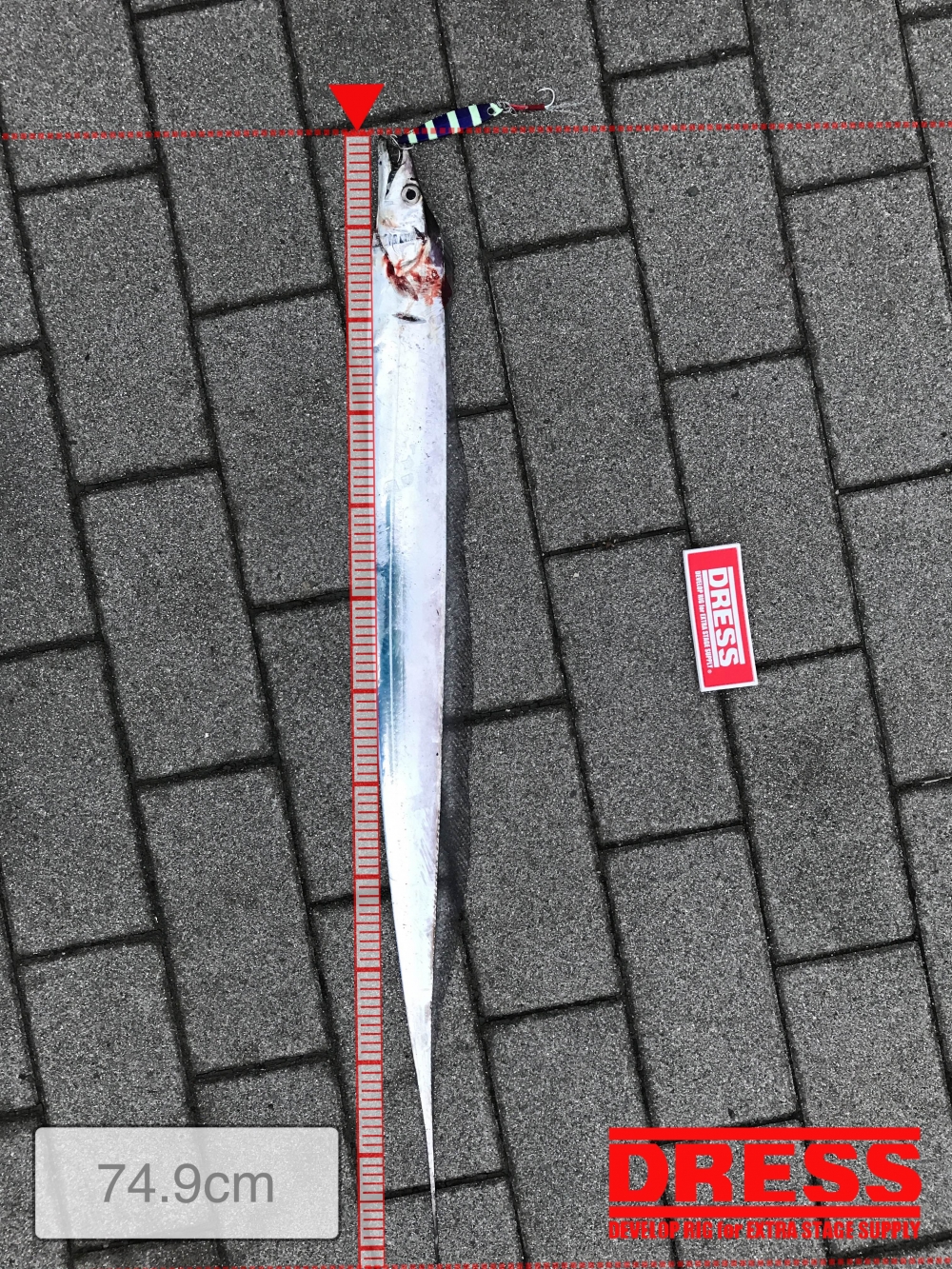7484_0_8581184516171bdc54ef3e602ca5ae0c