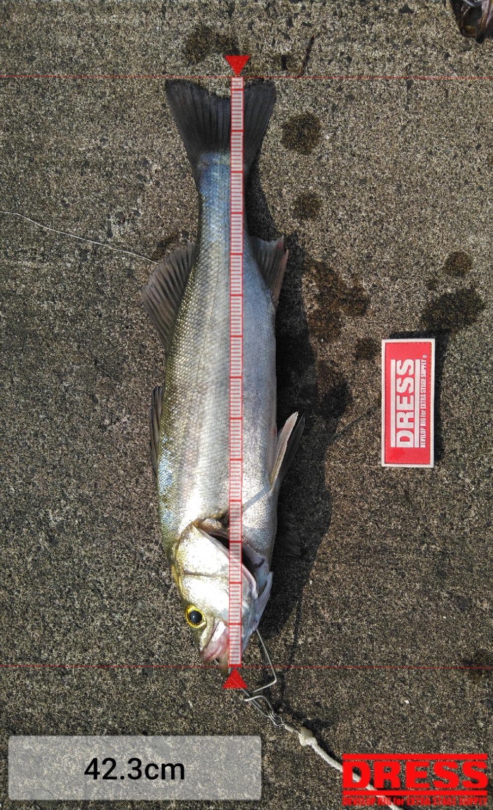 7514_0_912fd0bbc83cb856f9e665bde64b1e42