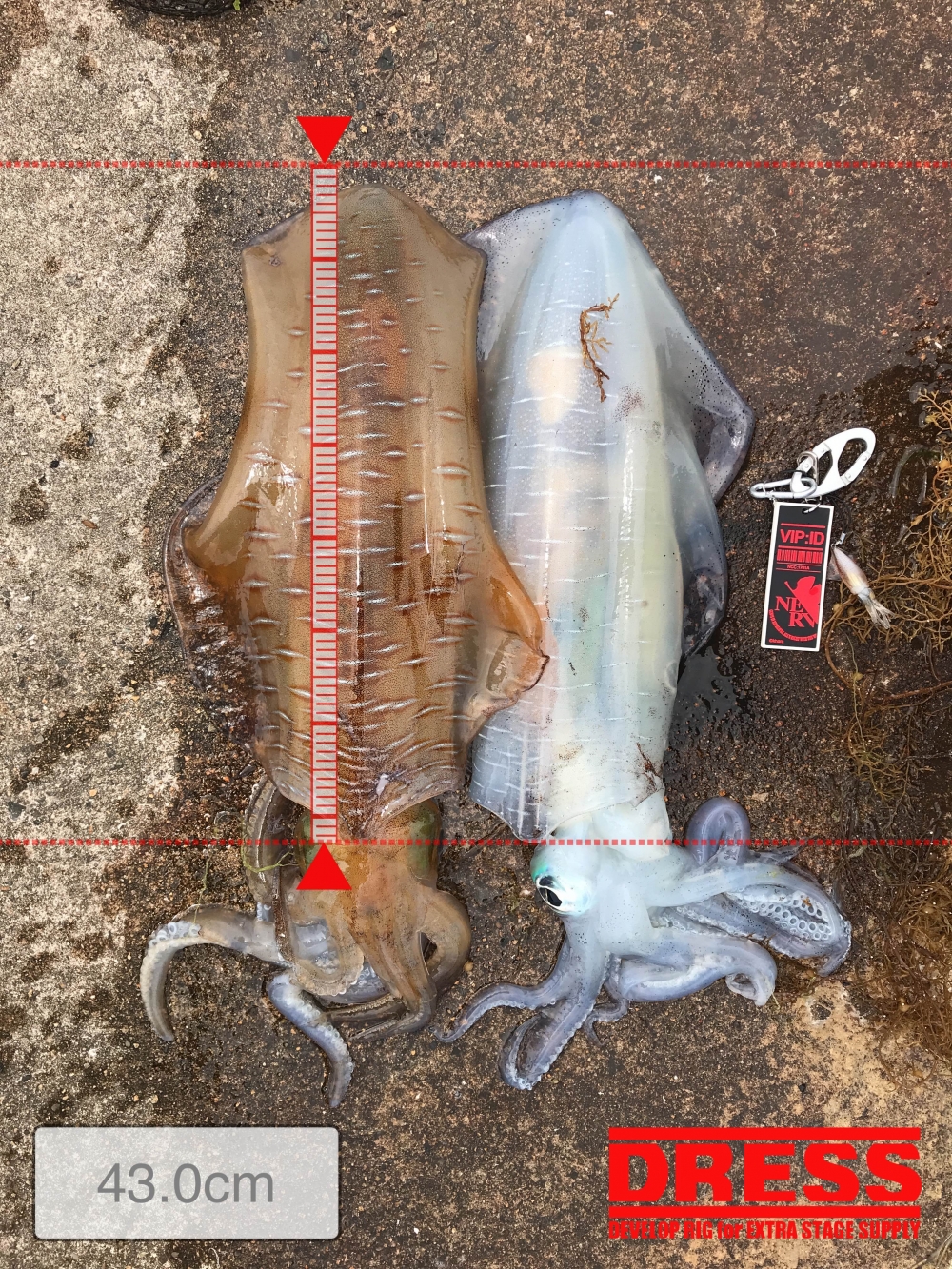 7541_0_5ddf0e6533017be95df1c2136a6b7ec6