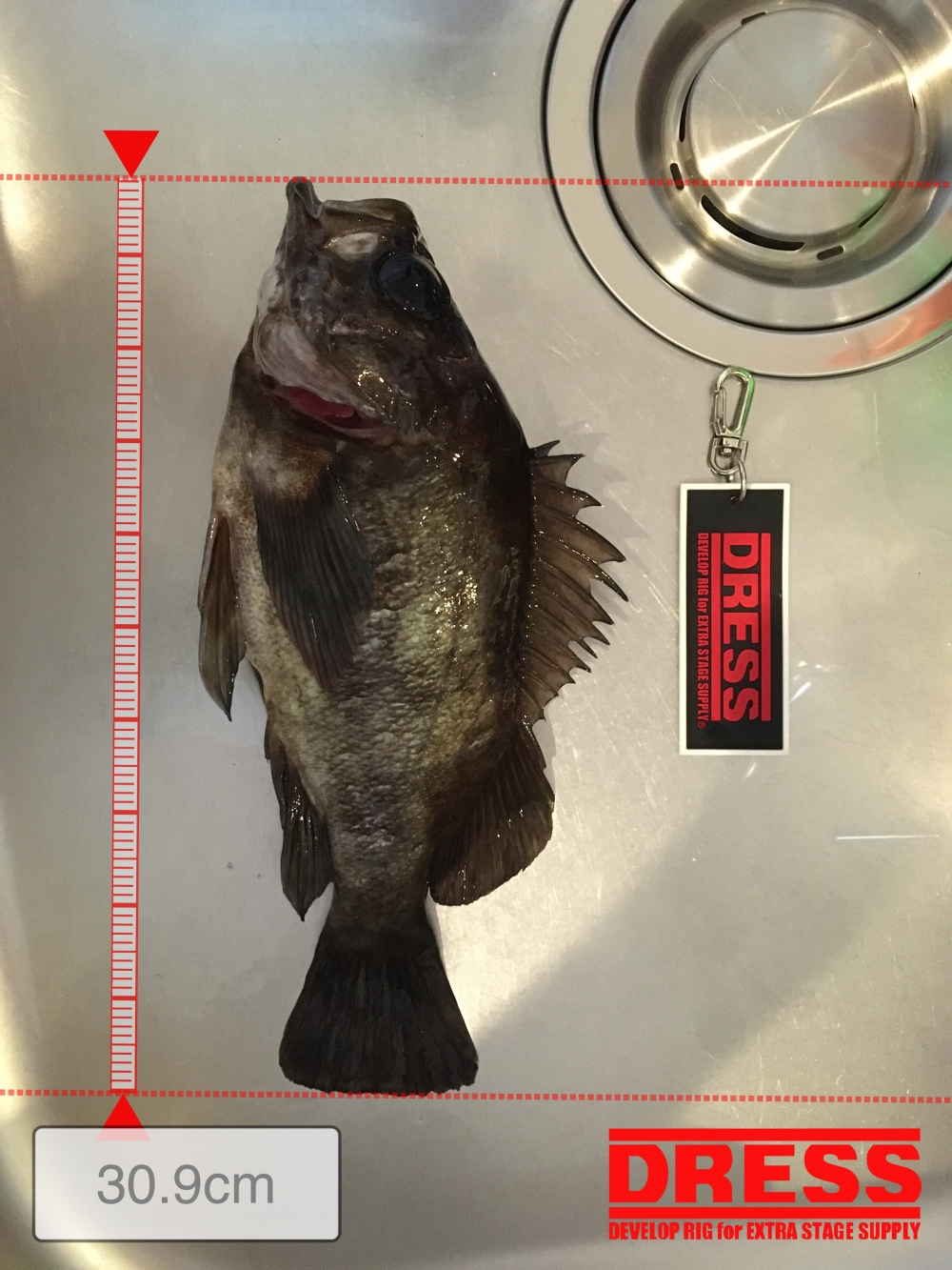 7549_0_e60076046d7a5f3f53c4d68914380b59