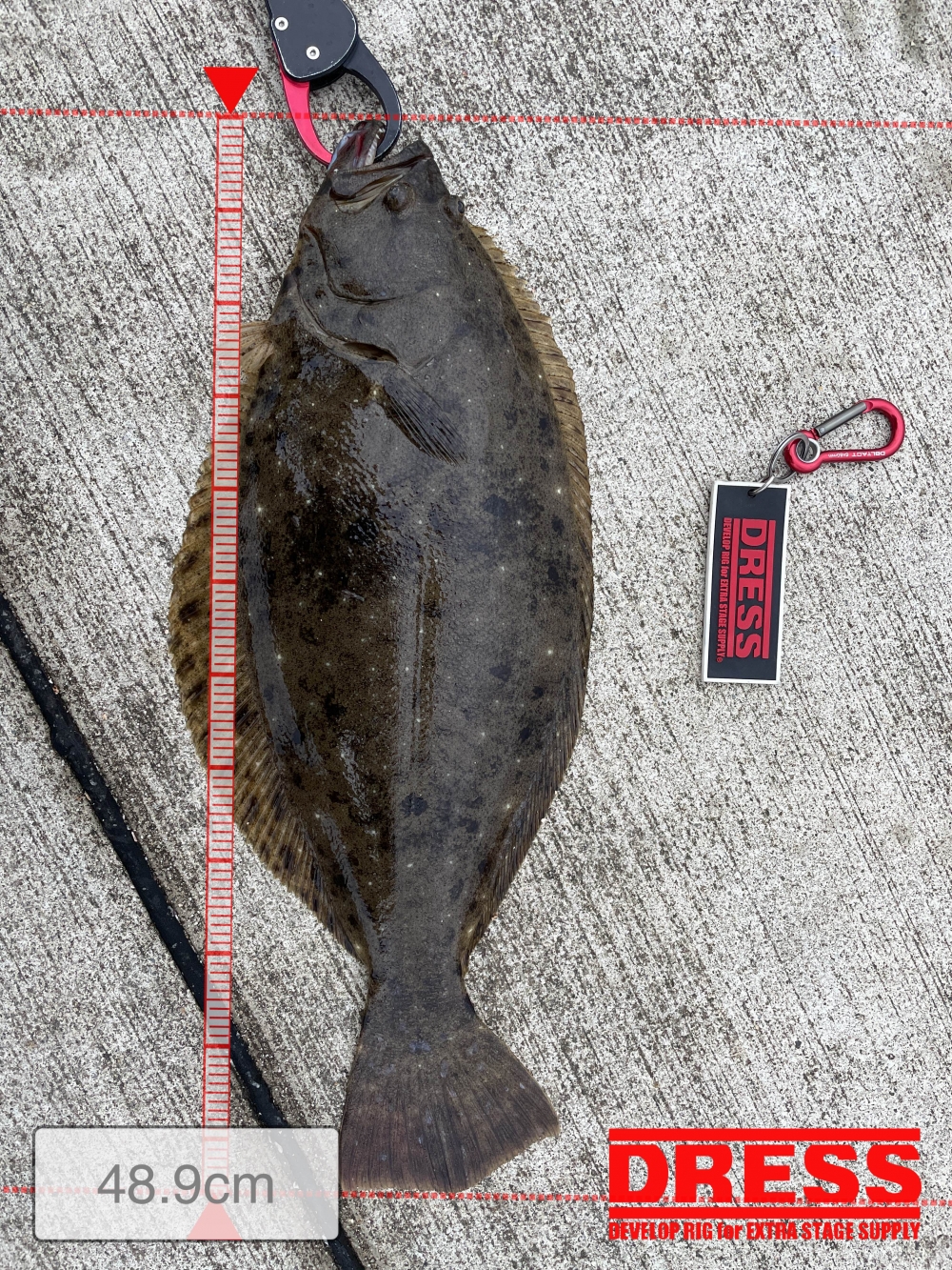 7563_0_02ca92c964bfb42d68c8fb548e2f6ffa