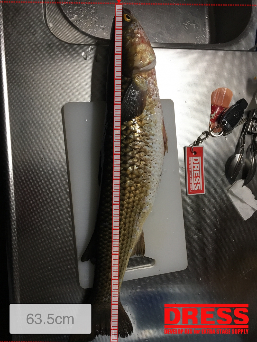 761_0_68bac3c77fbbe7ca249fa870c1072bdd