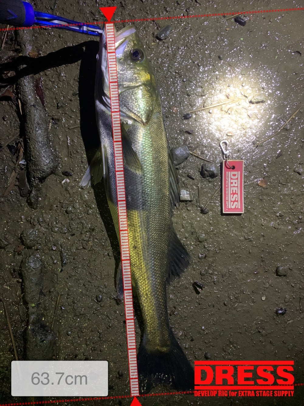 7684_0_8ddeb88c4e1001ea1e9b262ccafdb7f7