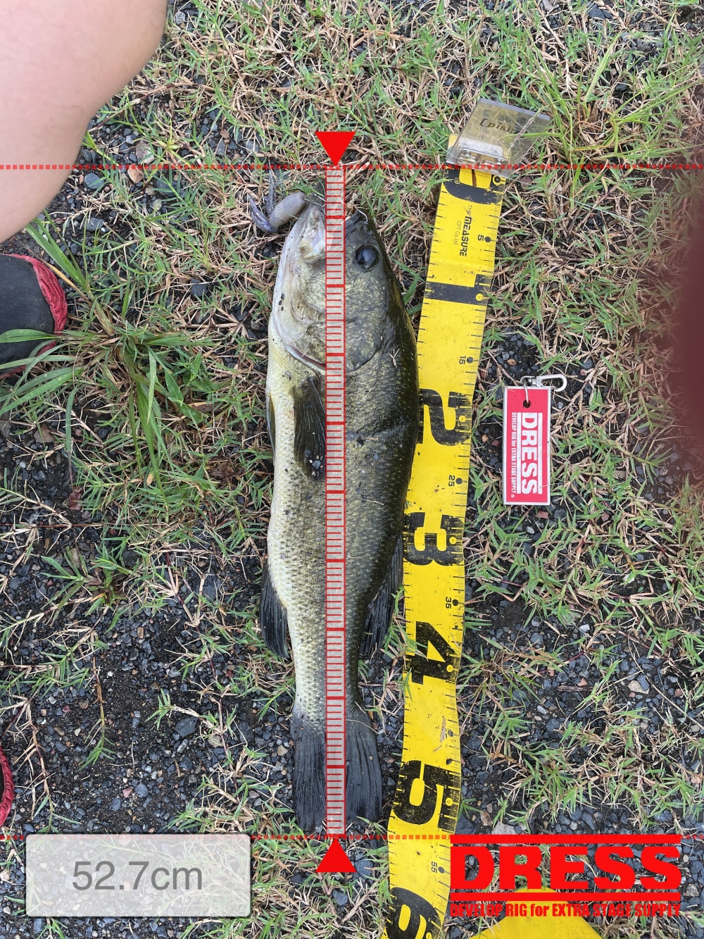 769_0_36d0f36a886c2941645cf6dd61d0f87b