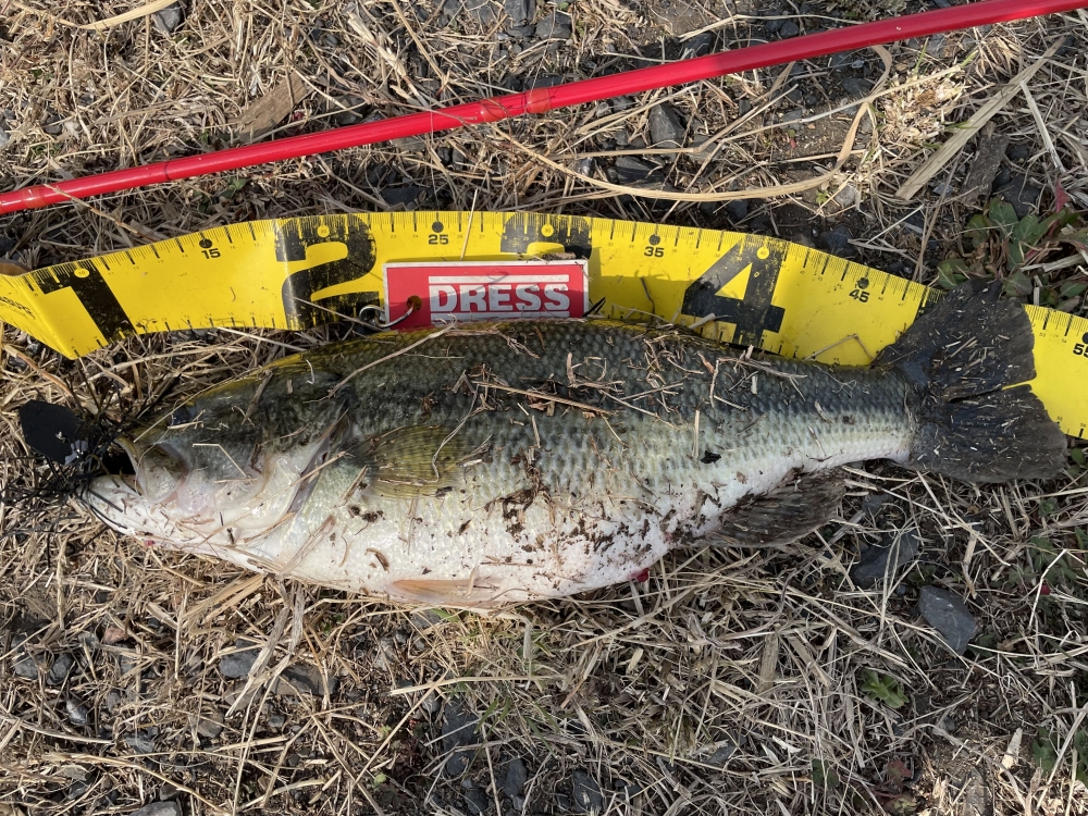 769_0_b7073b916b317bb13a8bcbc533c9fc22