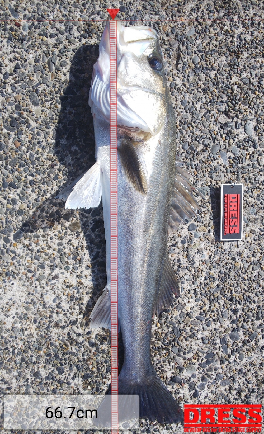 7766_0_0986327347112697784be724e3f601a7