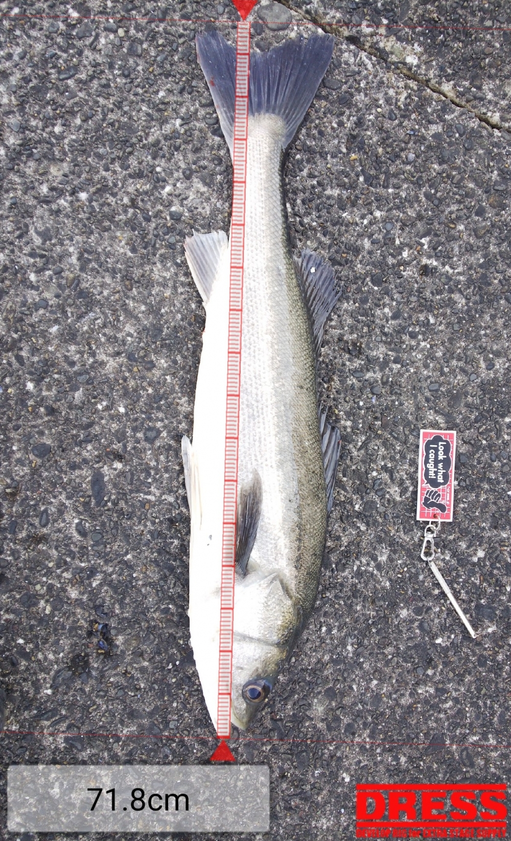 7766_0_1ff7132594d9d4e2601942c509223bc9