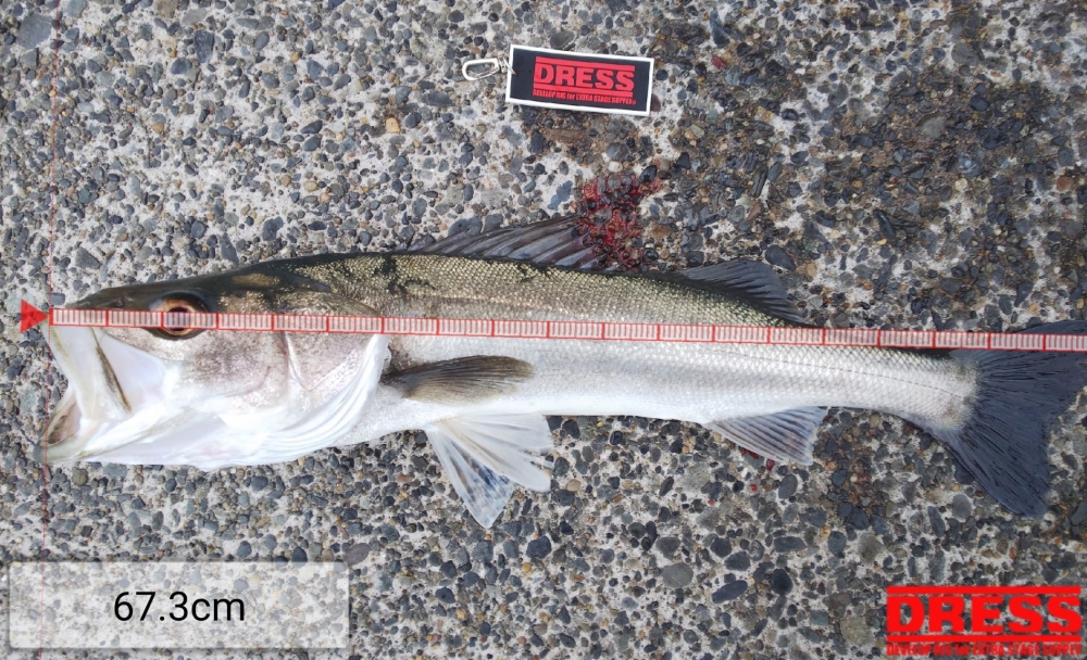 7766_0_315e3c58063eebe7a8e4adf5eee30fa9