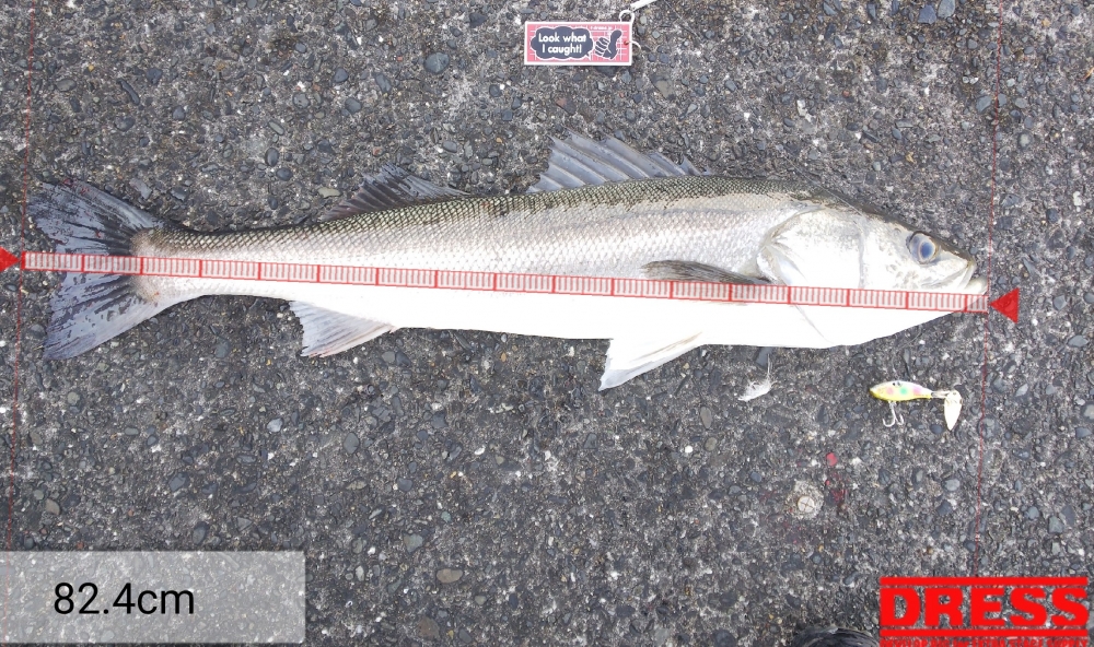 7766_0_4bad4e13c75f24f78c670be1f6bb35fc