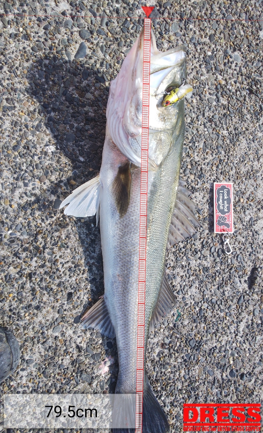 7766_0_4d259bbca5385d50f9bb4af352aa7f72