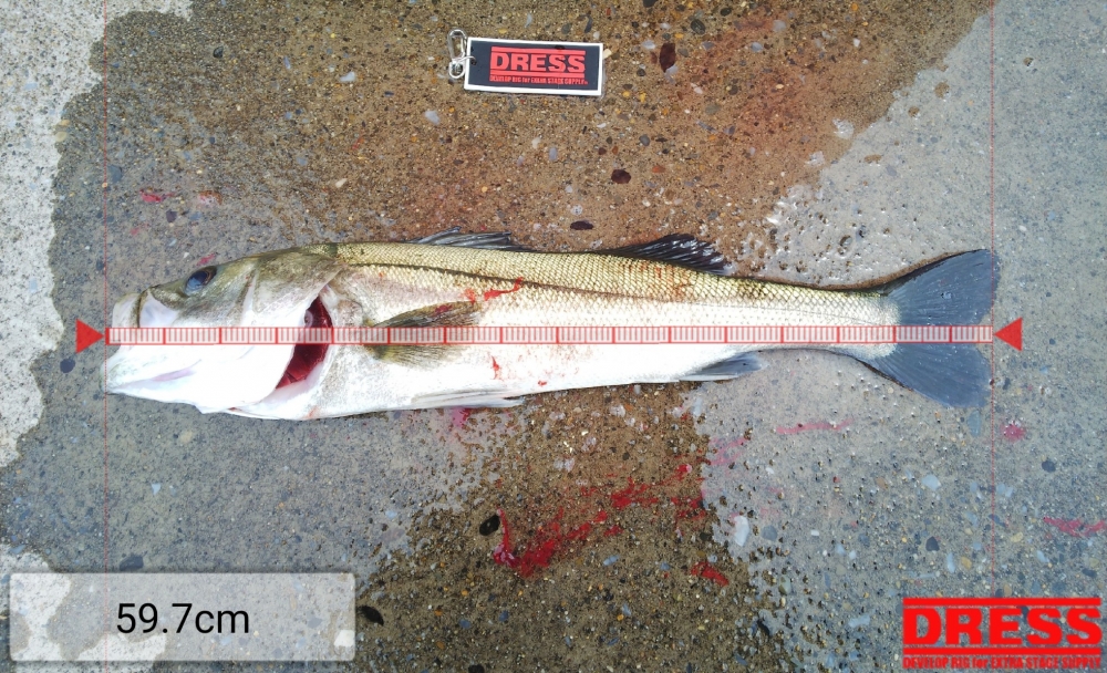 7766_0_987d91ac515a603a887e60460f399fcf