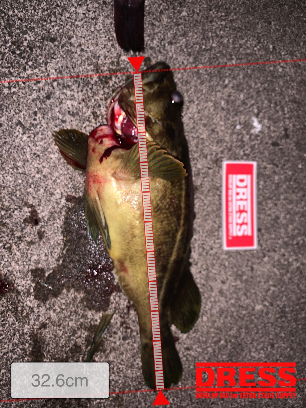 7849_0_99682ebc7844fbd830b67b60d3e16e4d