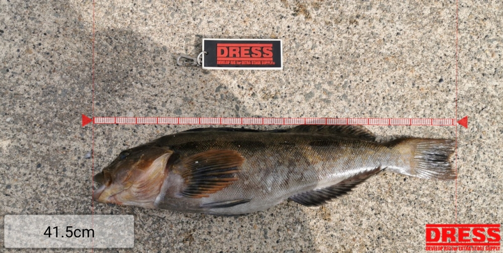 7861_0_a4a358f20858bcc259294bdecc69cd1f