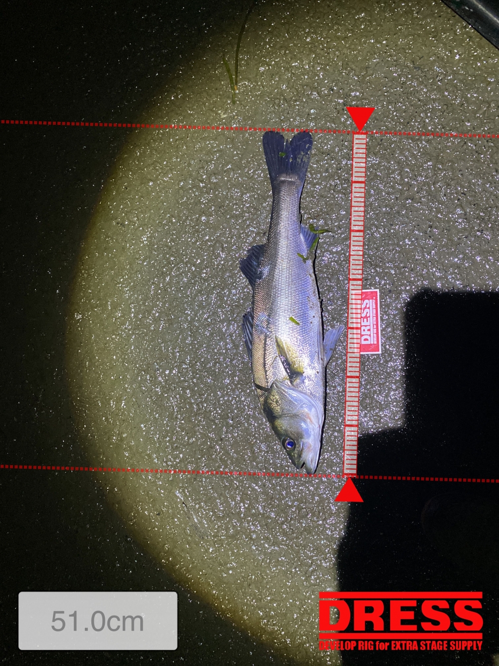 7912_0_c965b23547ffb938cb772d0b9877a184