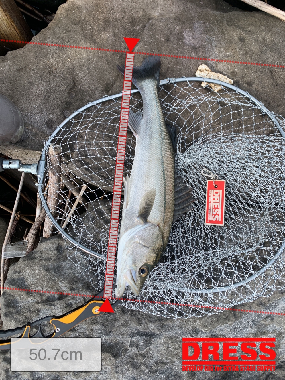 7965_0_988ddc8c1ec4dd3c0bfafefd03711ec5