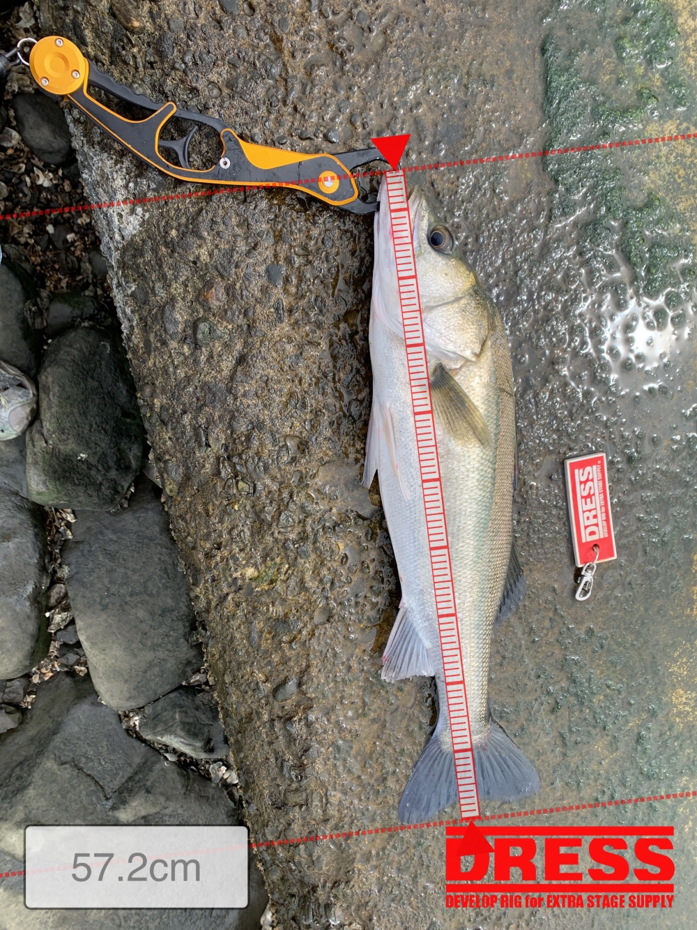 7965_0_c931021791c9cb061ca12cddfff670b6