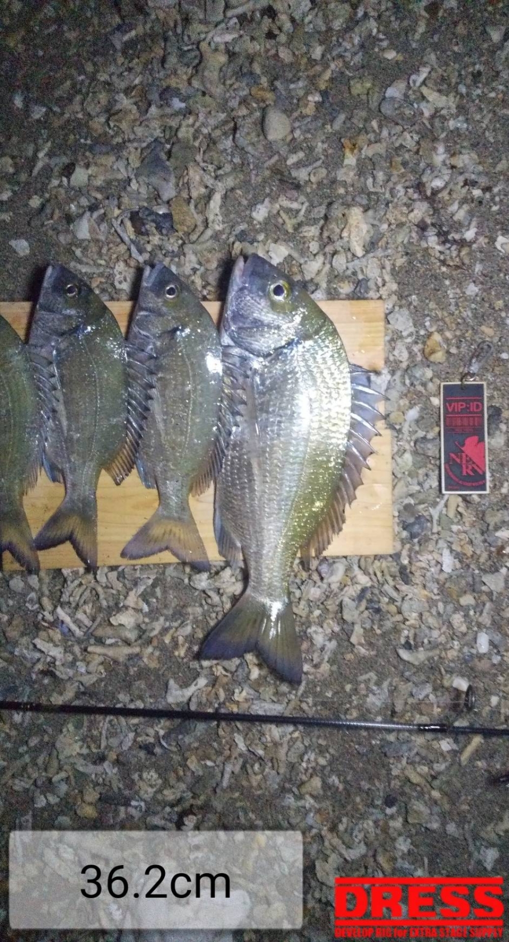 8124_0_2f03b0a79785e9f63c6b7722295e8dee