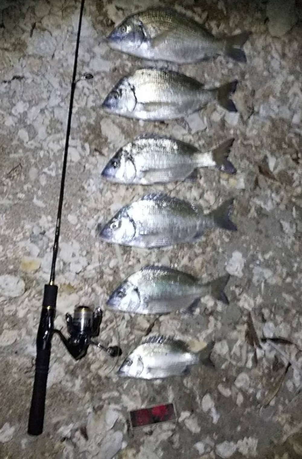 8124_0_3c200a608affdad59d1a82fc5c4cb0b0