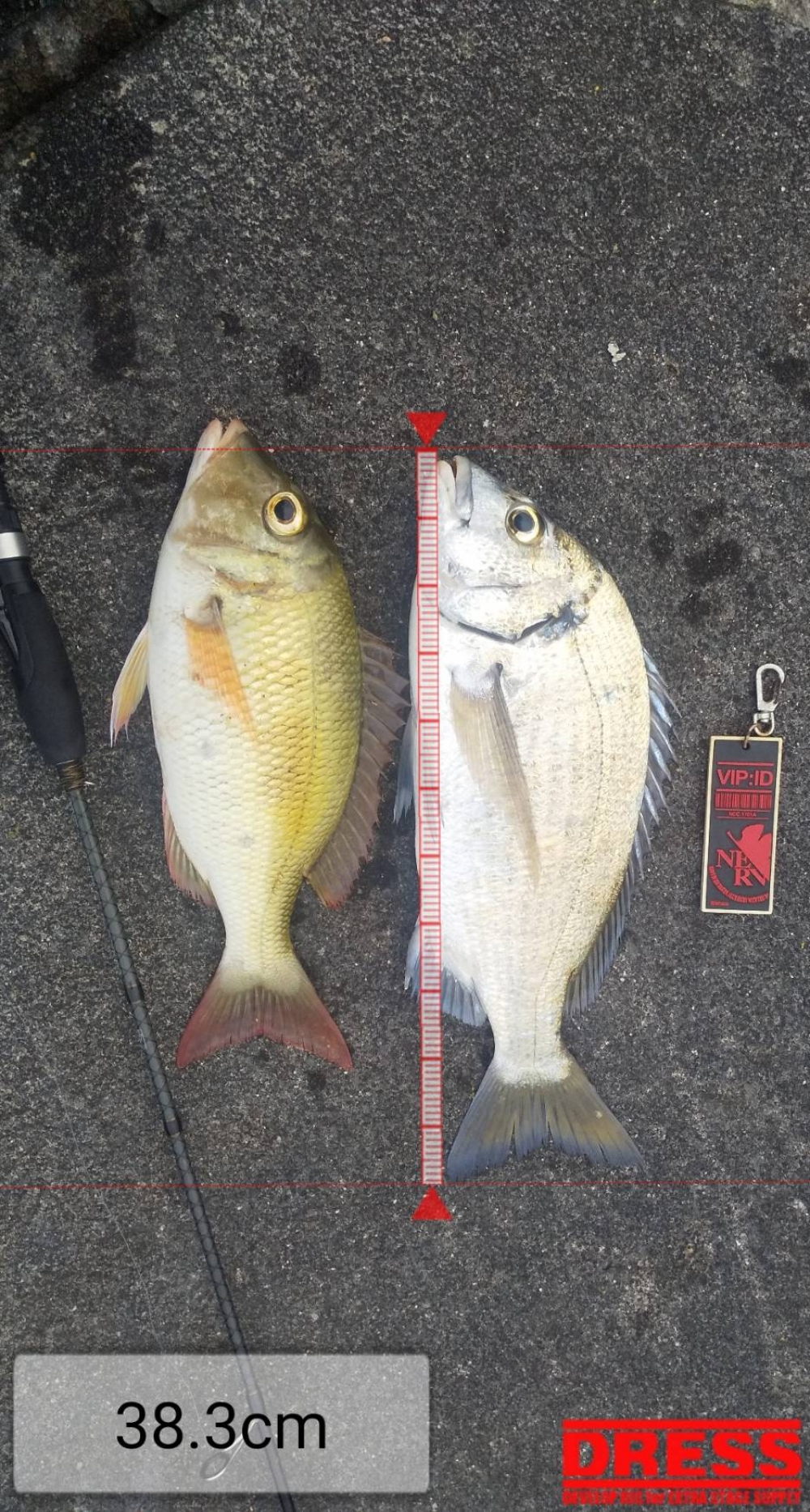 8124_0_ca4fa701d92208ff220dfc0a091109e3