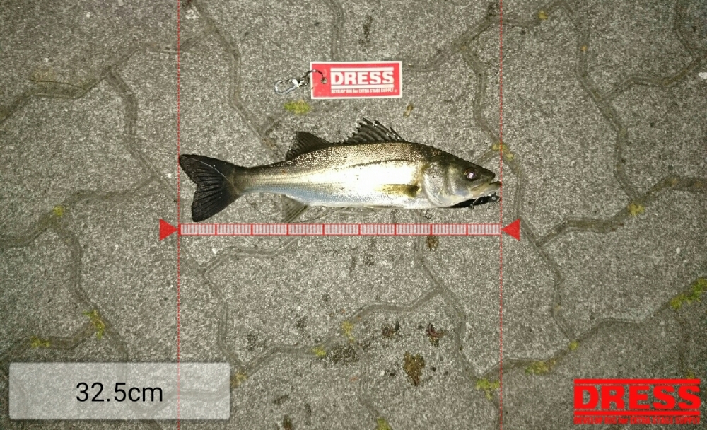 821_0_4bf3a0017b5533ae0bec7cdcb8deb14c