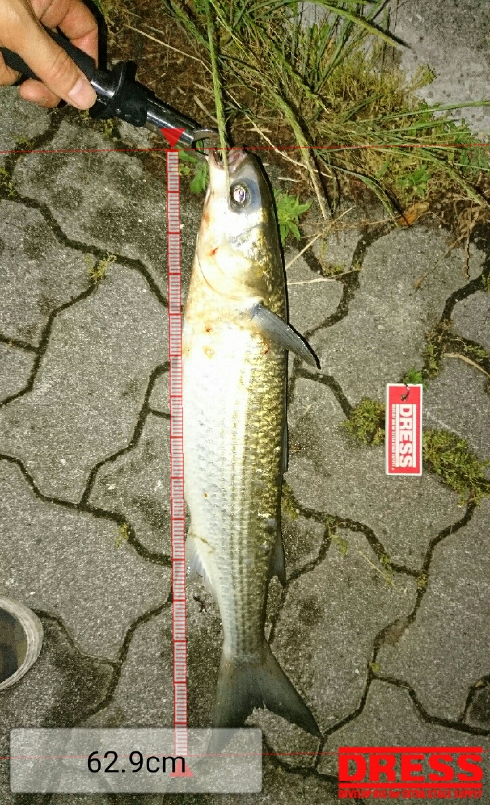 821_0_5cbe47ae001d9c7a6cb3256c8b8c0261