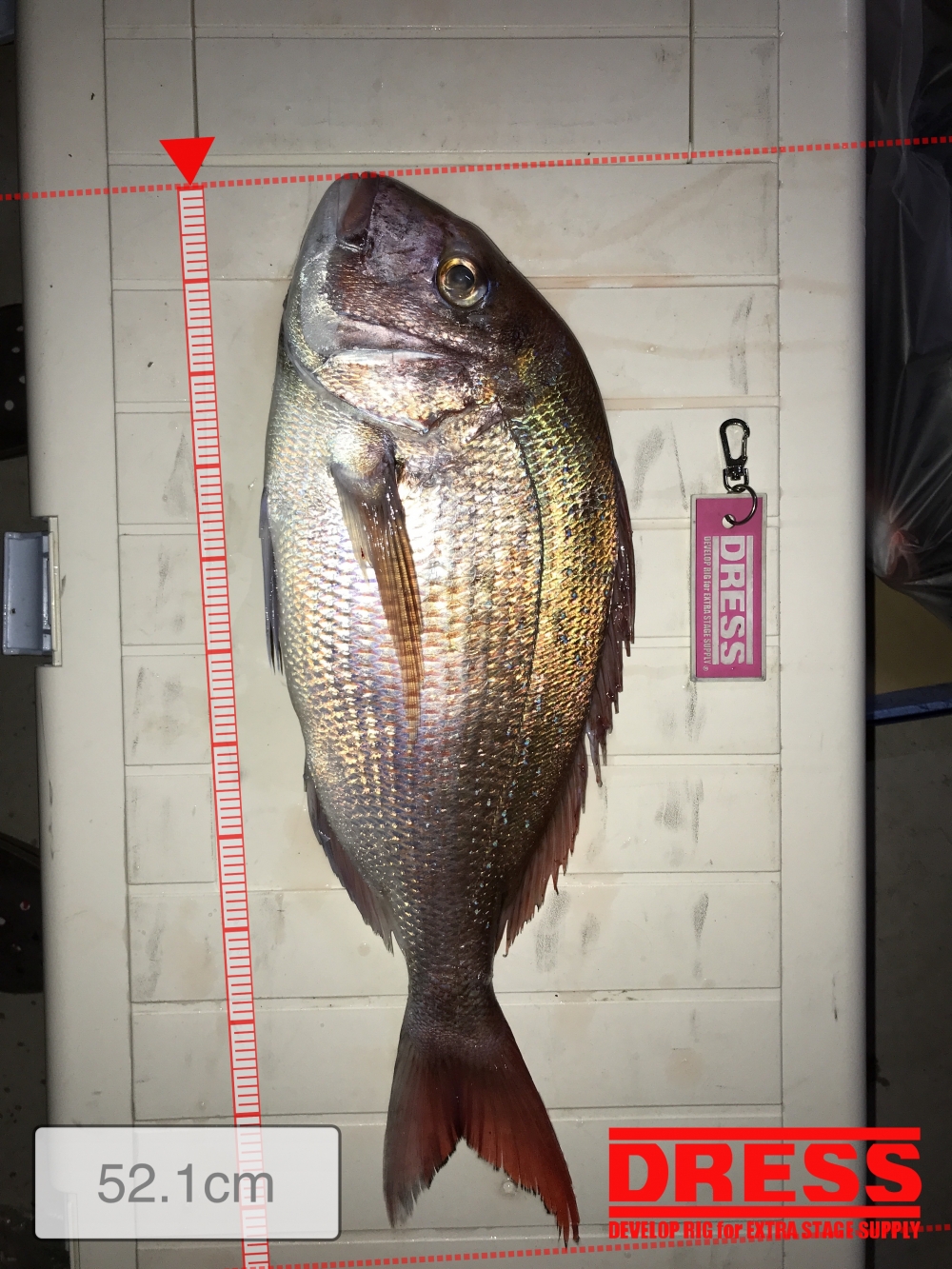 8253_0_7b4702046e09608ac4e6ae778cac1c9f