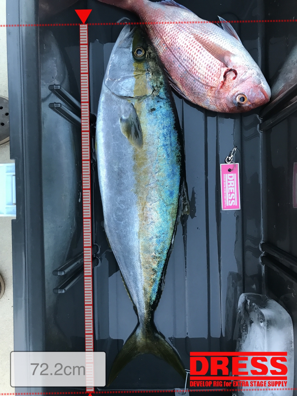 8253_0_859139e523a28516888f18ded005ecd1