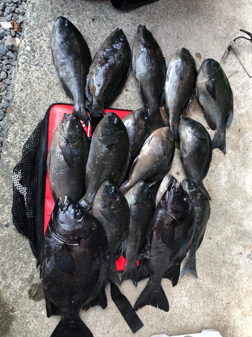 8345_0_7ab4ed2b5bf451801053110d07e521cb