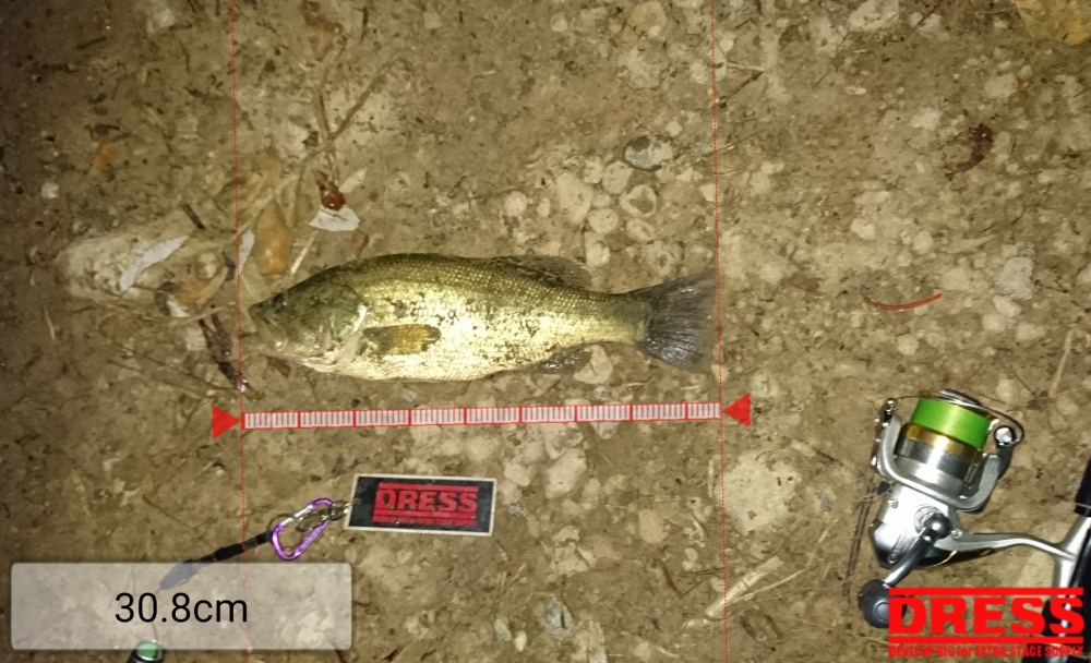 8461_0_db5cefd367444519cc59c9353e0c3ac4