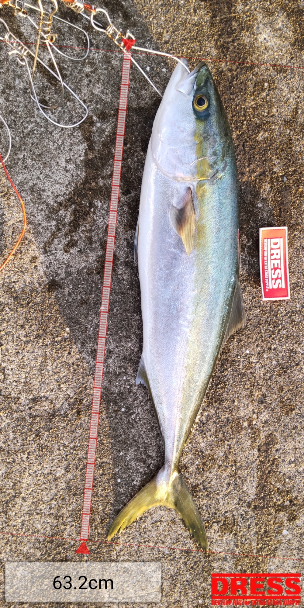 8484_0_21d6ca132f54f76d4cd0d84337dd36f5