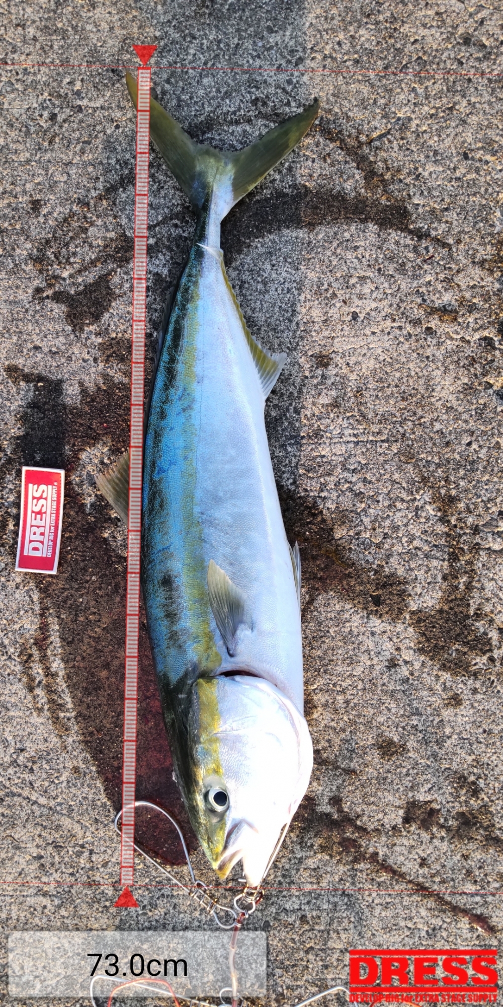 8484_0_f396906d9889ebaef31b67495096e931