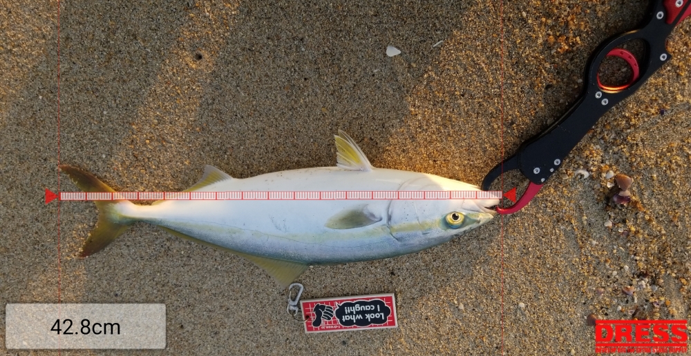 8510_0_b0218620ca7f5363a408a67bc2575fc6