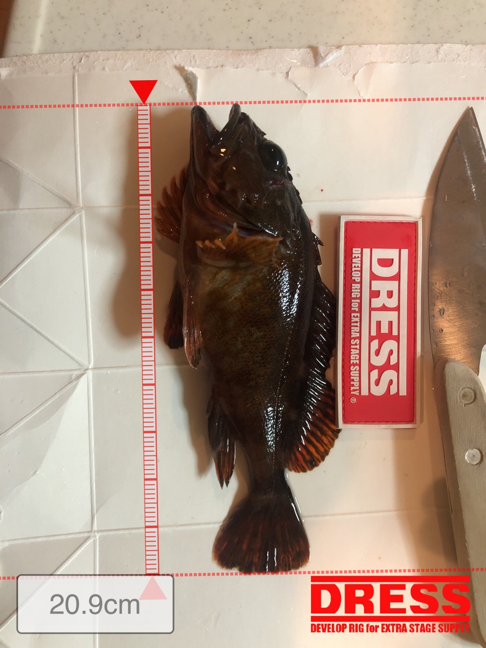 8572_0_38cca36424645f5a6e0677d0a64496a6