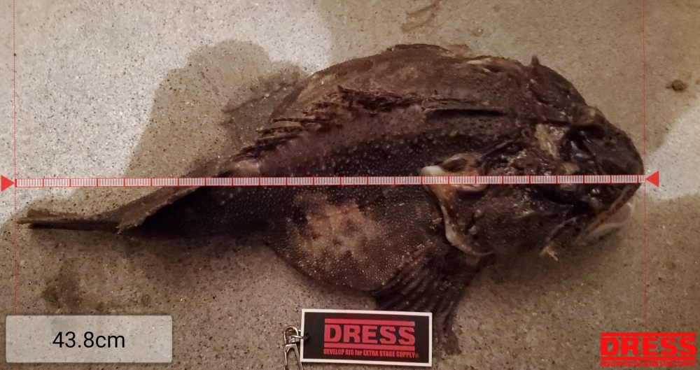 8845_0_8af8d9a6ed626875457a2ca635ed9691