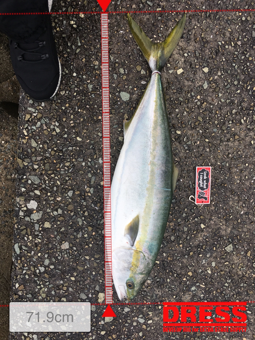 8938_0_9591d1e0f82988b3dec582b06eda4f6c