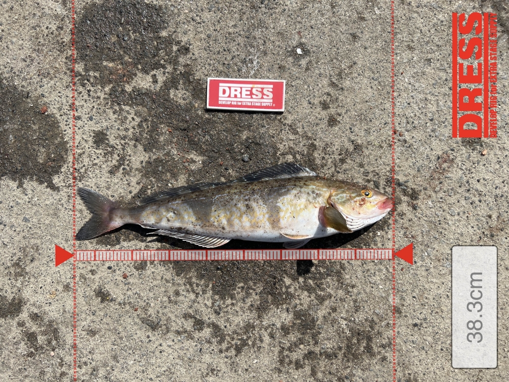 9087_0_5a3599cc324e8cf7ee88cda83f1f6aab