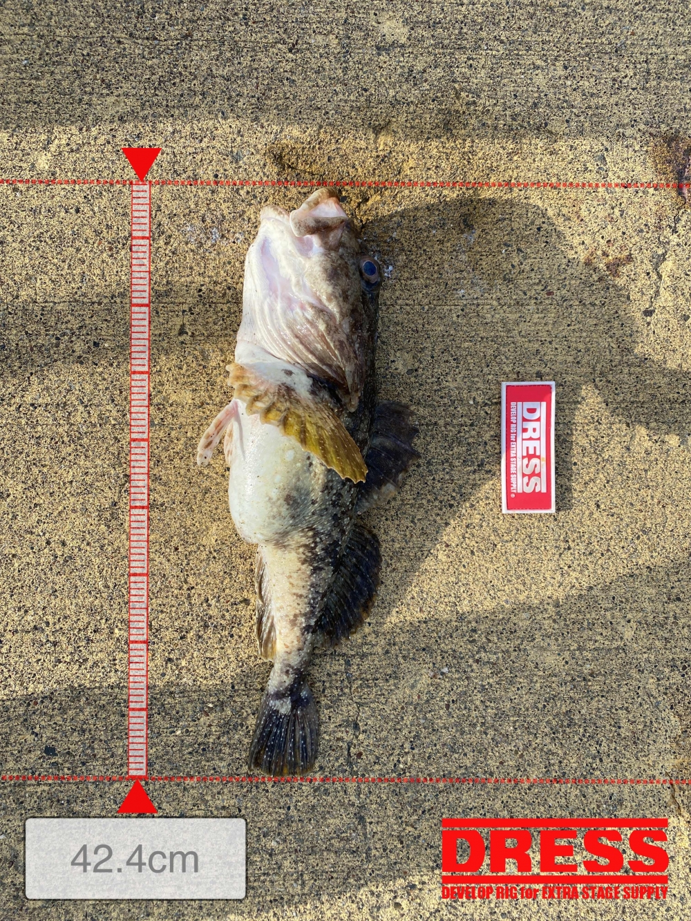 9087_0_7f621de61f45547ab230bc2b8f2016c1