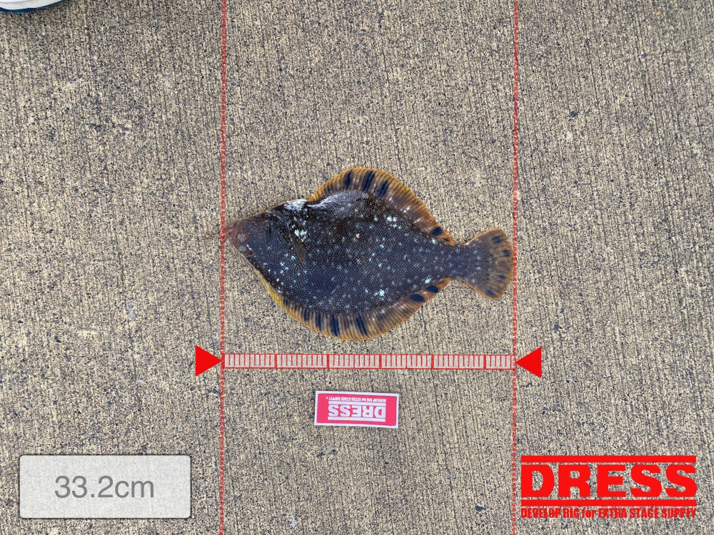 9087_0_7fa3989754ea991e84389491329d9ac9