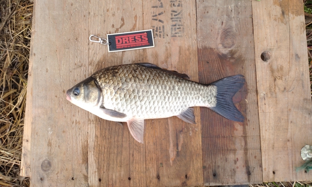 9134_0_ea7e85c9f3c1783d409598ab7723f86d