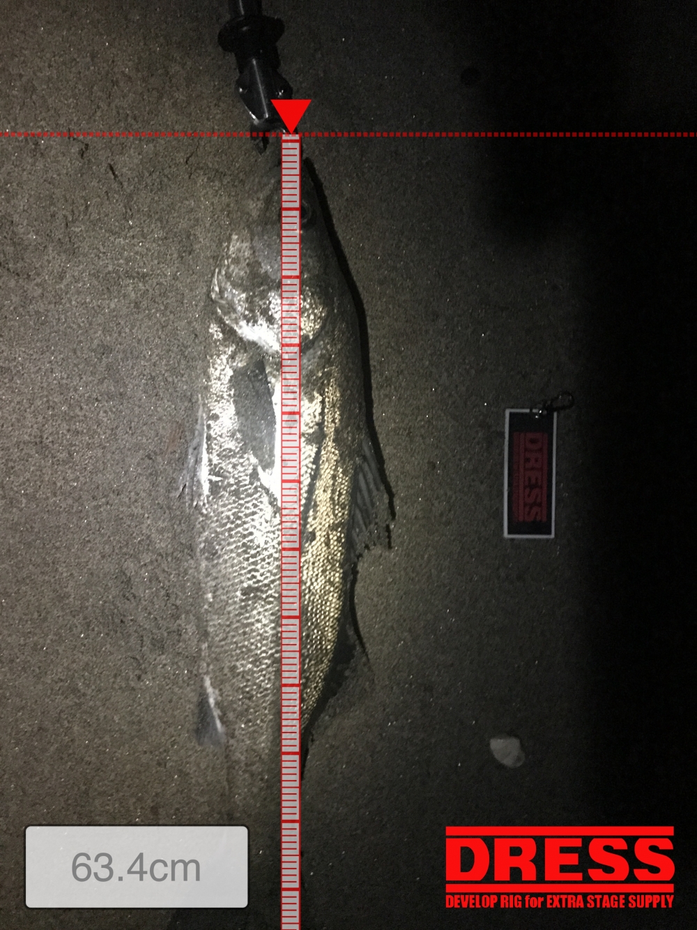 9160_0_4e696a1cd8a2d3ea3572eb8747db9e94