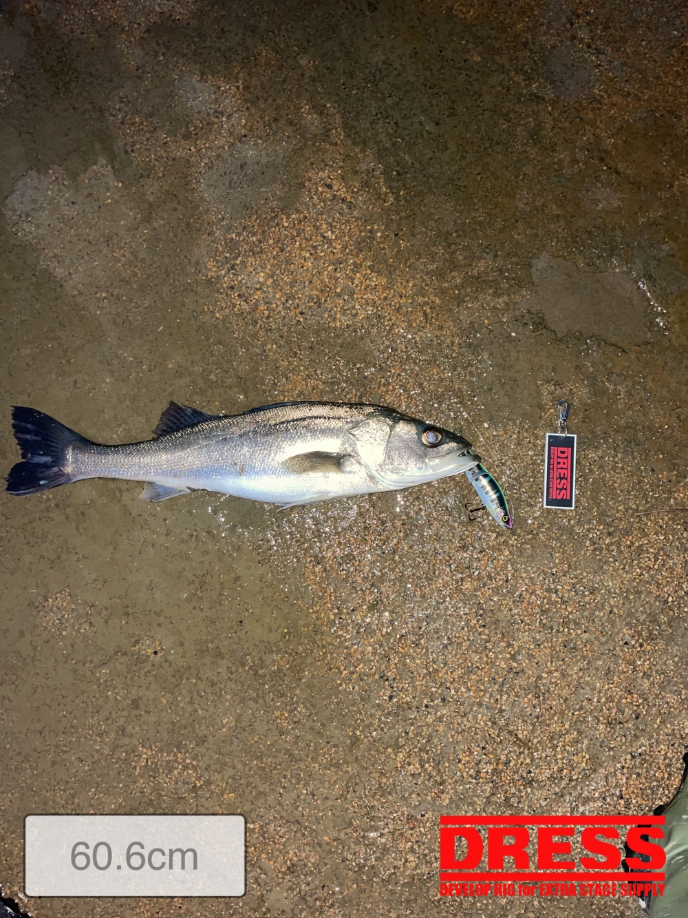 9178_0_c67f49145cc86e1c695d7bacef2b1595