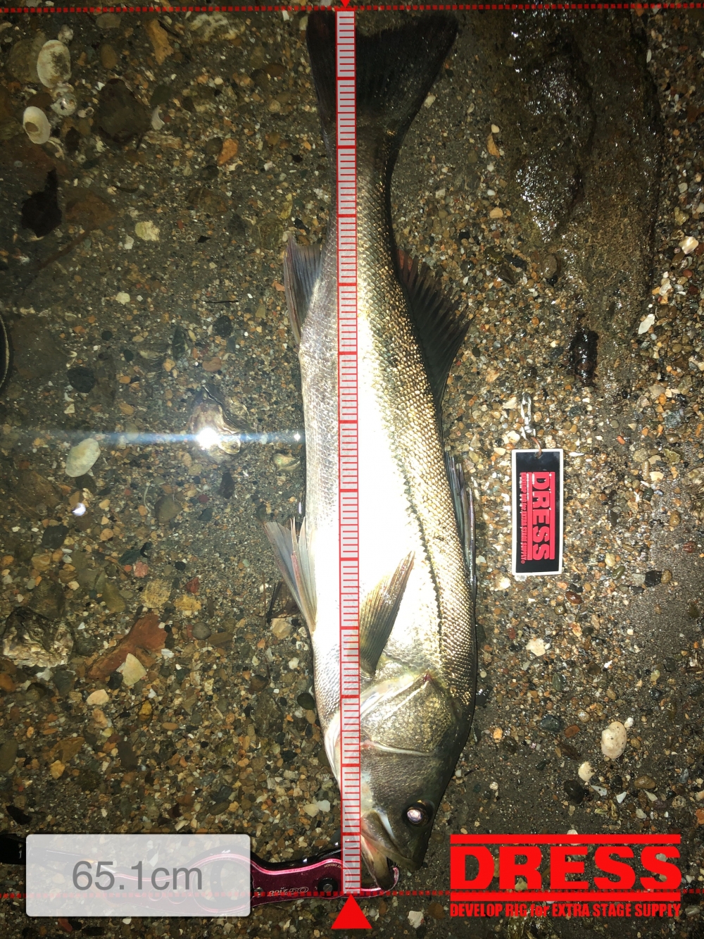 9237_0_a421ca566c9cd9433c8adcd8a6e3d4fd